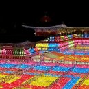 삼광사 Daum카페