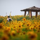 강주농장 이미지