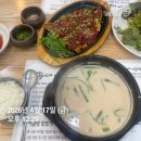 꼬까밥 | [다시어터의 삶] 260417 20시간24분단식_병원투어+꼬까머리