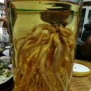 예천자동차학원