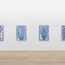 자연으로부터 이미지