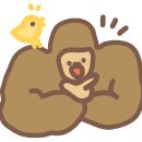 정가건축사사무소