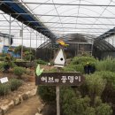 용설호수 농장 이미지