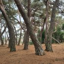 나루 행정사사무소 이미지