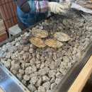 대흥상회 이미지