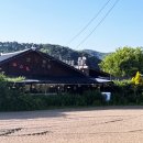 코스모스와 메밀가든 이미지