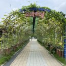 인천광역시 송림체육관 주차장 이미지