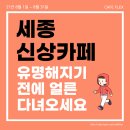 대현새롬 | 세종 신상카페 가오픈카페 리스트 (8월)