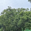 모롱지공원 이미지