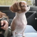 몽몽이 미용실 이미지