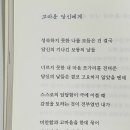 써니문 이미지