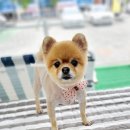 도꾸살롱 이미지