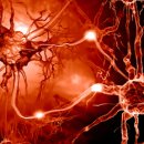 울산광역시립노인병원 이미지