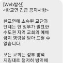 개신교계 현장 예배 강행하겠다 뜻 밝혀,"이후 벌어질 일에 모든 책임 지겠다" 이미지