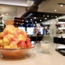 파스쿠찌장미의