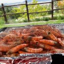 달서별빛캠프 캠핑장 이미지