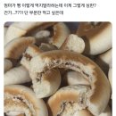 이런애들은 가정교육도 가정교육인데 이미지