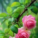 늘좋은날 - 홍성군 | 늘좋은날