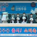 춘천철원화천양구축산농협하나로마트 - 춘천시 경춘로 2342 | 춘천철원화천양구축산농협하나로마트