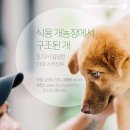 한국농장 이미지