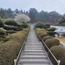 바다가 보이는 풍경 | 마산 장수암 바다 보이는 절 풍경 후기