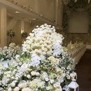 LG스타오토카서비스 | 스타시티아트홀 본식 후기 :1탄 (리허설, 시식, 홀연계업체 정보, 식순 전달방법, 참고사항)