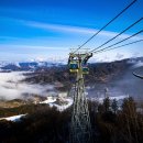 웰리힐리파크 이미지