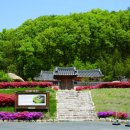 윤선생대치주