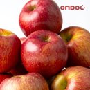 건양유통 이미지