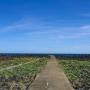 푸른바다약국 이미지