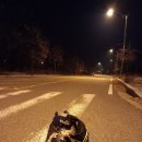 미단중앙로 이미지