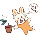 리스스킨 네이버블로그
