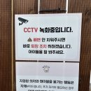 댕글라이프 이미지