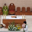 서 동호 베드로 신부님 영명축일 영육간에늘 건강하세요 사목할동에도 행복하시고 주님의사랑가득하시길기도합니다 이미지