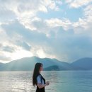 거제비타민씨 이미지