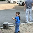 제이미뇽