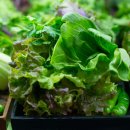 재기농장 이미지