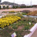 축산항초등학교 Daum카페