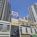 용인대 최강 태권도 도장 | 주안동 태권도 용인대최강태권도장 프로그램 너무 좋아요!