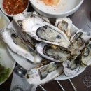 정동진회수산