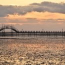 빛과갯벌-1 이미지