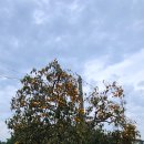 도성마을회관 이미지