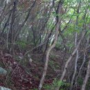 지리산친구들 이미지