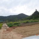 청림농장 이미지