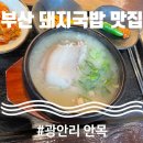 [부산] 광안리 미슐랭 돼지국밥 내돈내산 후기- 안목