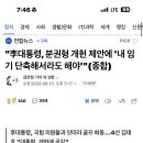 분권형 개헌?? 기어이 내각제로 가는구나 이미지