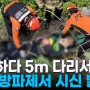 용접 작업하다 5m 다리 아래로 추락…방파제에서 시신 발견 이미지