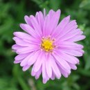 한양전자 이미지