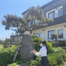 크리닝삼오 | [내돈내산/제주여행] 제주 동쪽 하도리 감성숙소, 하도리 삼일삼오(3135) 203호 후기