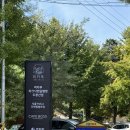 서울YMCA다락원캠프장 | 피카푸 피크닉앤글램핑 서울YMCA 도봉산점 내돈내산 솔직후기